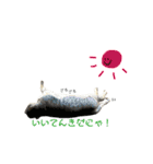 おまめ’sすたんぷ（個別スタンプ：2）
