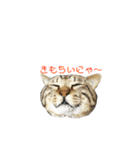 おまめ’sすたんぷ（個別スタンプ：20）