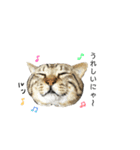 おまめ’sすたんぷ（個別スタンプ：25）