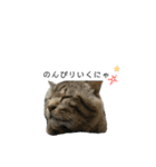 おまめ’sすたんぷ（個別スタンプ：28）