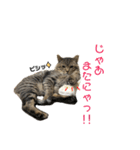 おまめ’sすたんぷ（個別スタンプ：39）
