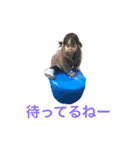 リカコ2019.1（個別スタンプ：13）