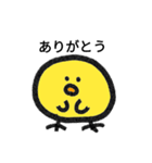 毎日使えるぴよこのスタンプ（個別スタンプ：4）