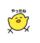 毎日使えるぴよこのスタンプ（個別スタンプ：5）