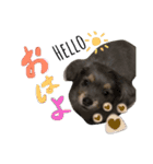 ルイすた（個別スタンプ：1）
