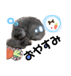 ルイすた（個別スタンプ：2）