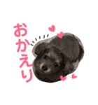 ルイすた（個別スタンプ：12）
