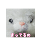 あたちマリーちゃん(こねこのマリー①)（個別スタンプ：2）