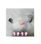 あたちマリーちゃん(こねこのマリー①)（個別スタンプ：3）
