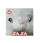 あたちマリーちゃん(こねこのマリー①)（個別スタンプ：6）
