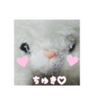 あたちマリーちゃん(こねこのマリー①)（個別スタンプ：8）