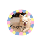 アイラブピーこ（個別スタンプ：3）
