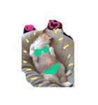 アイラブピーこ（個別スタンプ：5）