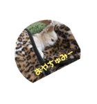 アイラブピーこ（個別スタンプ：10）