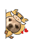アイラブピーこ（個別スタンプ：11）