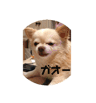 アイラブピーこ（個別スタンプ：14）