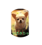 アイラブピーこ（個別スタンプ：17）