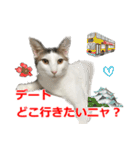 婚活ニャンコ・楽しく婚活（個別スタンプ：16）