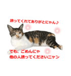 婚活ニャンコ・楽しく婚活（個別スタンプ：32）