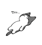 ジト目猫（個別スタンプ：4）