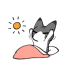 ジト目猫（個別スタンプ：5）
