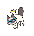 ジト目猫（個別スタンプ：11）