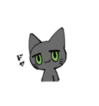 ジト目猫（個別スタンプ：24）