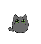 ジト目猫（個別スタンプ：38）