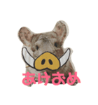 チンチラのかけるくん（個別スタンプ：3）