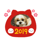 シーズー 茶々丸くん（個別スタンプ：32）