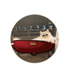 ルナの日常‼︎（個別スタンプ：6）