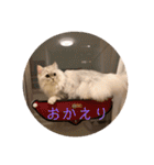 ルナの日常‼︎（個別スタンプ：7）