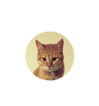 福ねこ➀（個別スタンプ：1）