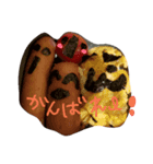 応援、メッセージ（個別スタンプ：1）
