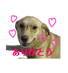 ムーちゃんスタンプ♡（個別スタンプ：7）