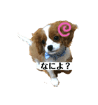 可愛いルーナくんのスタンプ（個別スタンプ：3）