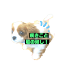 可愛いルーナくんのスタンプ（個別スタンプ：4）