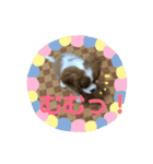 可愛いルーナくんのスタンプ（個別スタンプ：6）