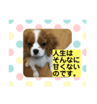 可愛いルーナくんのスタンプ（個別スタンプ：7）