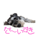 ミニシュナ★ルーク（個別スタンプ：5）