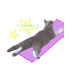 ブリティッシュ〜やさぐれ猫とおてんば猫（個別スタンプ：3）