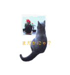 ブリティッシュ〜やさぐれ猫とおてんば猫（個別スタンプ：17）