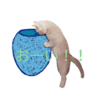 ブリティッシュ〜やさぐれ猫とおてんば猫（個別スタンプ：32）