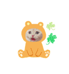 ブリティッシュ〜やさぐれ猫とおてんば猫（個別スタンプ：38）