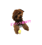 コロンとベル(1)（個別スタンプ：1）