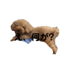 コロンとベル(1)（個別スタンプ：2）