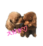コロンとベル(1)（個別スタンプ：7）