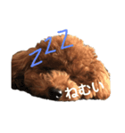 コロンとベル(1)（個別スタンプ：8）