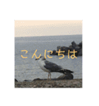 景色スタンプ（個別スタンプ：9）