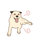 6種類の日本犬スタンプ（個別スタンプ：6）